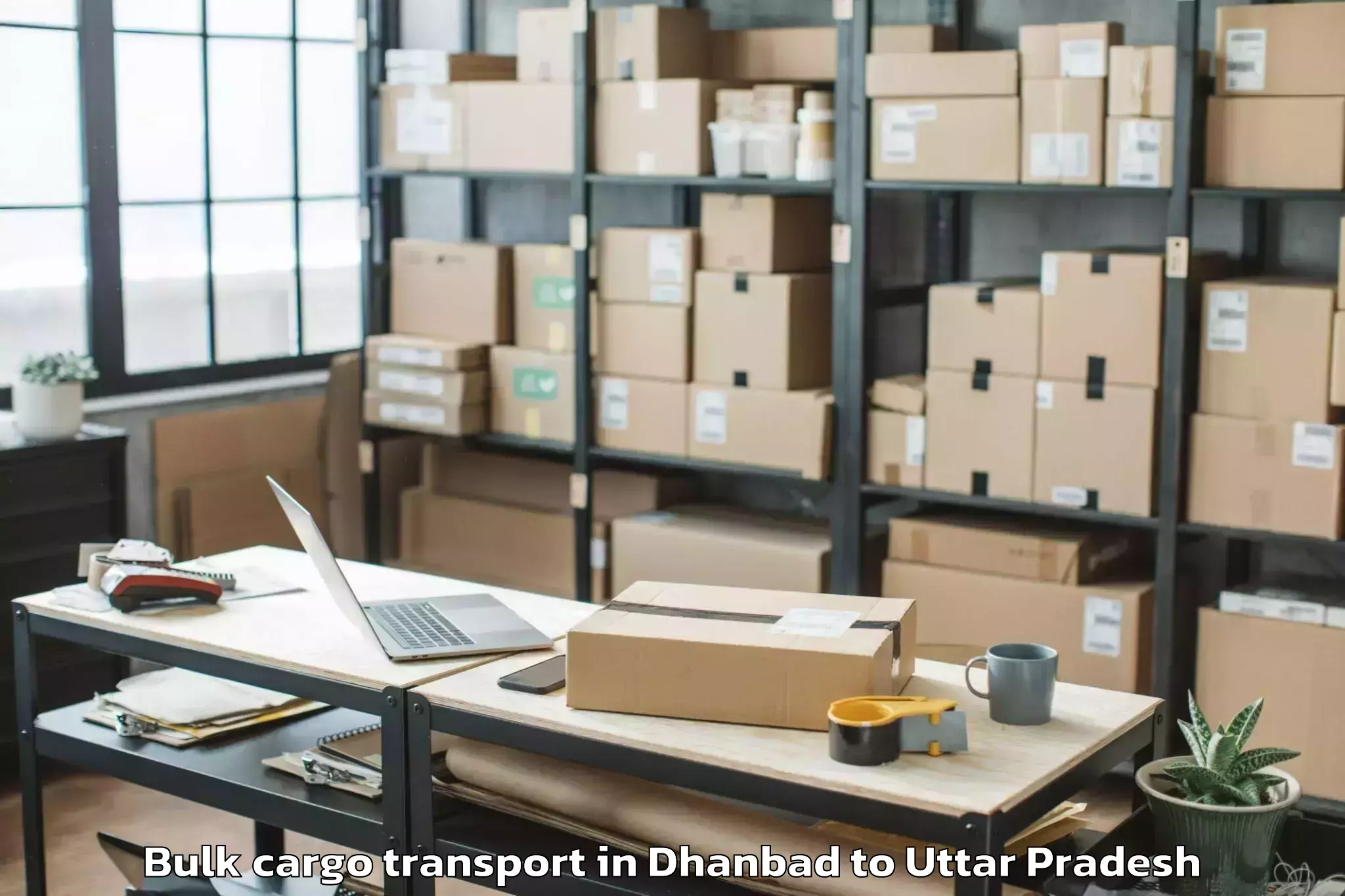 Professional Dhanbad to Naraini Bulk Cargo Transport